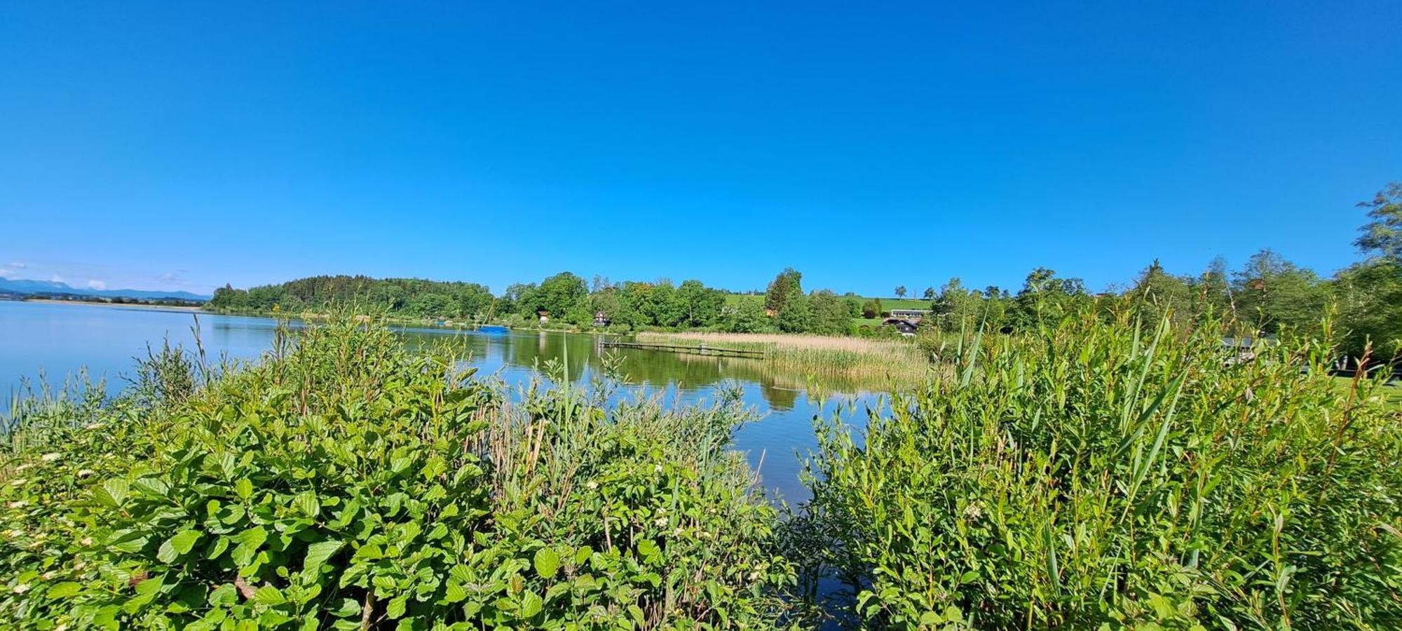 Ferienwohnung Wallersee 노이마르크트 암 발레르제 외부 사진